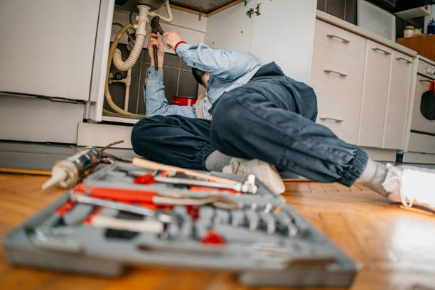 Best Affordable Plumbing Services  in Springfield, MN