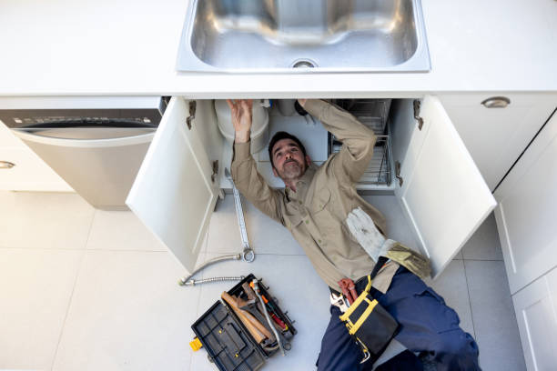 Best Residential Plumbing Services  in Springfield, MN