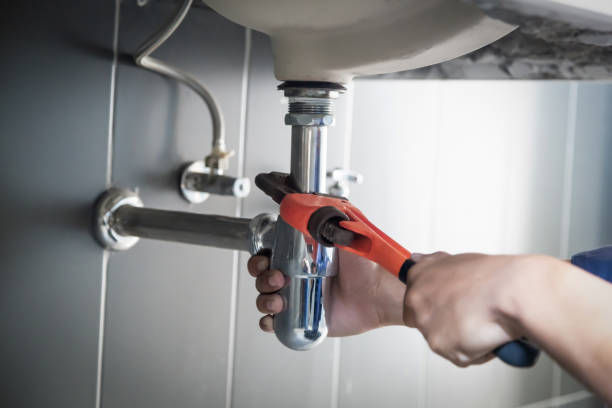 Best Leak Detection Services  in Springfield, MN