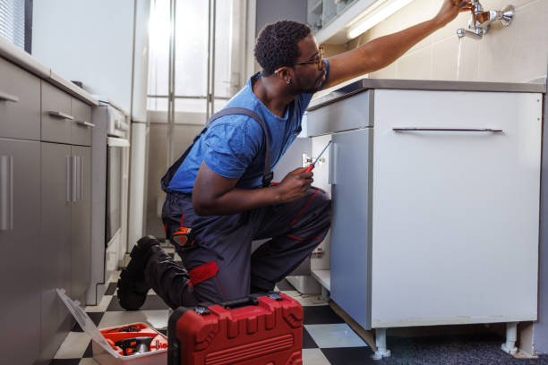 Best Same-Day Plumbing Service  in Springfield, MN