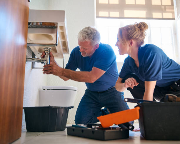 Best Shower Repair Services  in Springfield, MN